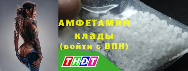 амф Инсар